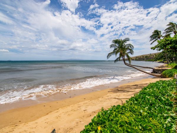 Kihei Home 1055525
