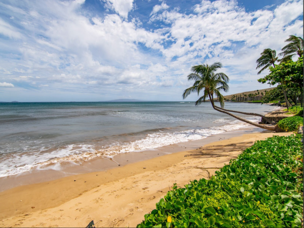 Visit the paradise with Ocean Views in Ma'alaea Bay