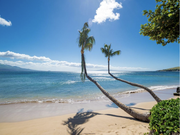 Kihei Oceanfront Lovely Rental
