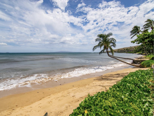 Kihei Oceanfront Lovely Rental