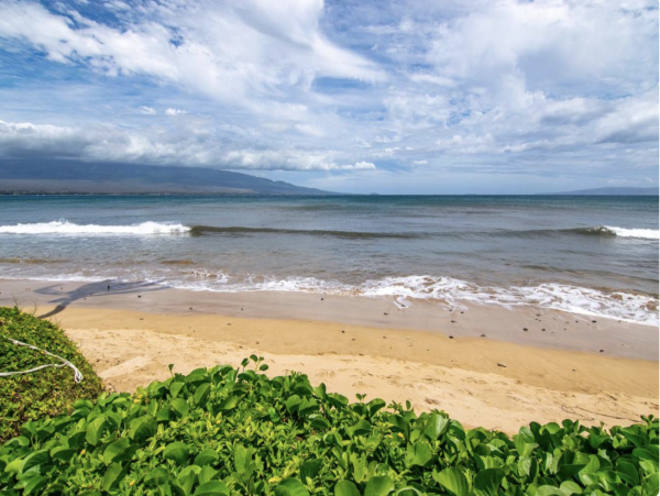 Kihei Oceanfront Lovely Rental