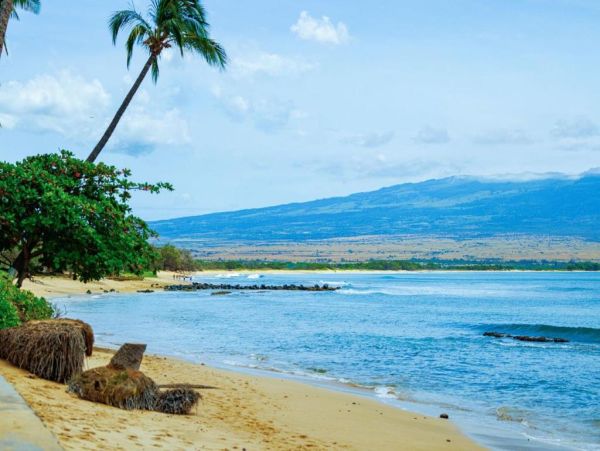 Kihei Oceanfront Lovely Rental