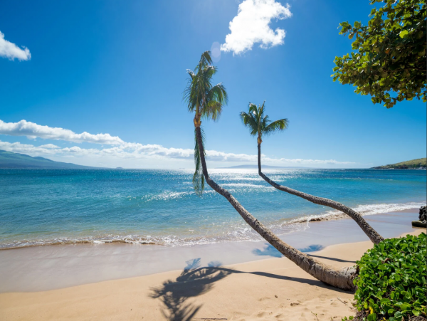 Discover Paradise: Ma'alaea Bay Vacation Rental Sleeps 4
