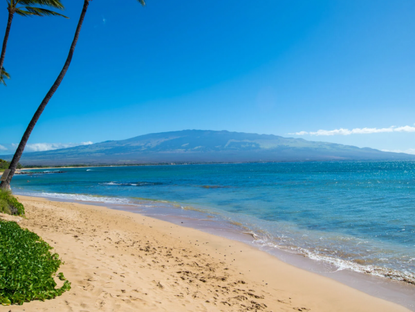 Explore Maui: Ma'alaea Bay Vacation Rental Gem 1 Bedroom