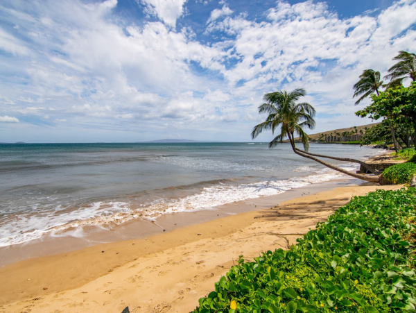 Explore Maui: Ma'alaea Bay Vacation Rental Gem 1 Bedroom