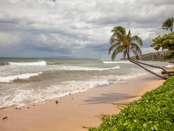 Steps from Beach Lovely Kihei. Condo with 2 Bedrooms Sleeps 6
