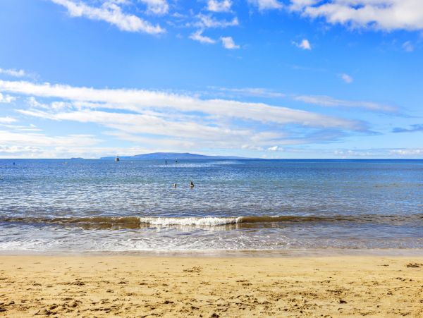 Lovely Condo with 1 Bedroom Plus Loft in Kihei