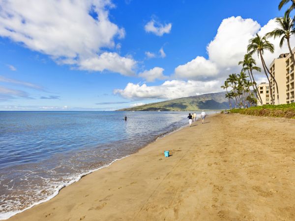 Lovely Condo with 1 Bedroom Plus Loft in Kihei