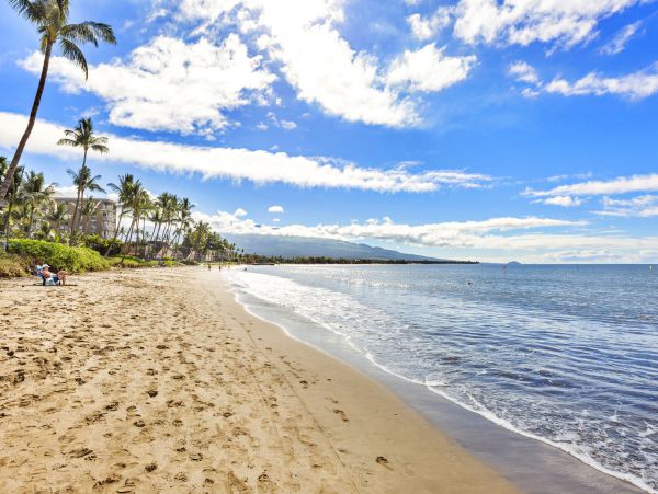 Lovely Condo with 1 Bedroom Plus Loft in Kihei