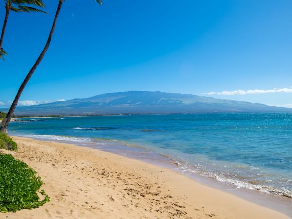 Maalaea Vacation Rental: Pool, BBQ, and Nearby Attractions