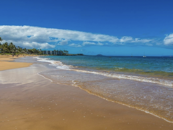 Walk Out Beach Right Across the Street from the Beach Kihei Lovely Rental