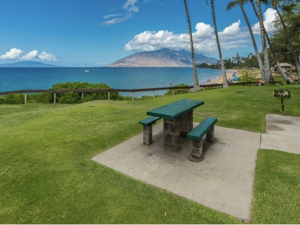 Walk Out Beach Right Across the Street from the Beach Kihei Lovely Rental