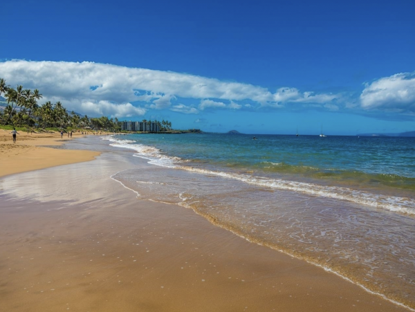 Walk Out Beach Right Across the Street from the Beach Kihei Lovely Rental