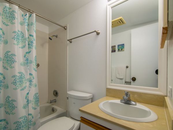 Wailea Home 1055564