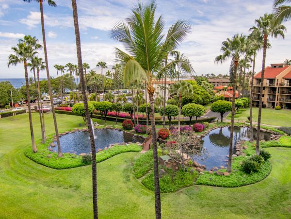 Wailea Home 1055564