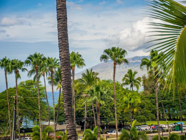 Wailea Home 1055564