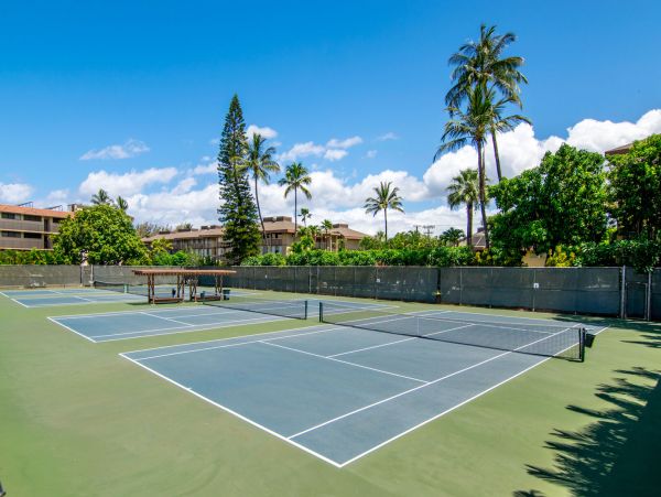 Wailea Home 1055564
