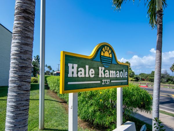 Wailea Home 1055572