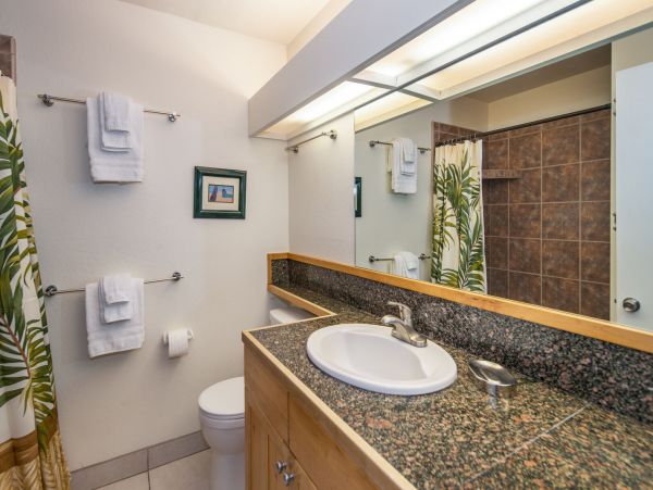 Wailea Home 1055572
