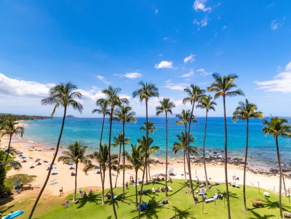 Wailea Home 1055574