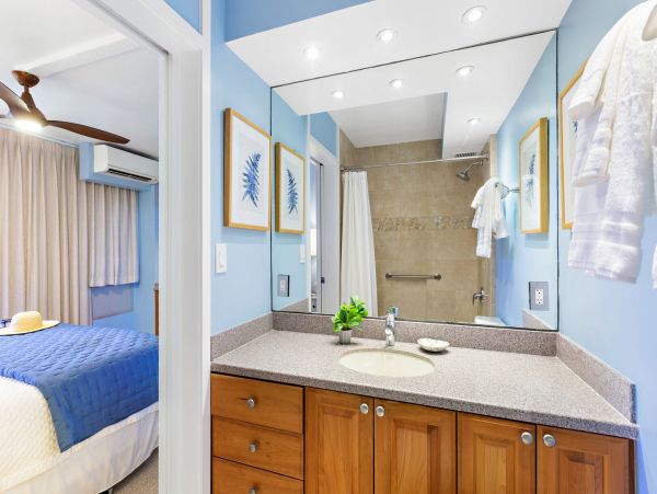 Wailea Home 1055574