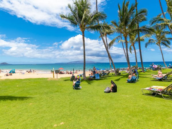 Wailea Home 1055574