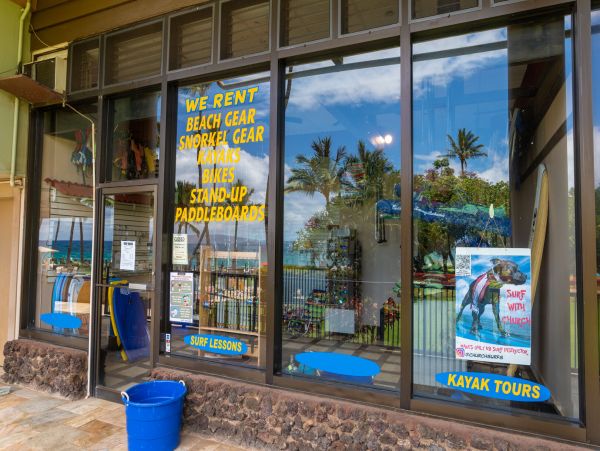 Wailea Home 1055574