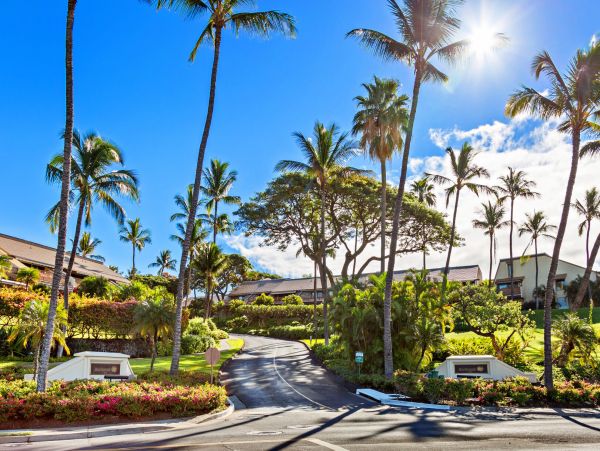 Cozy 2 Bedroom Maui Unit