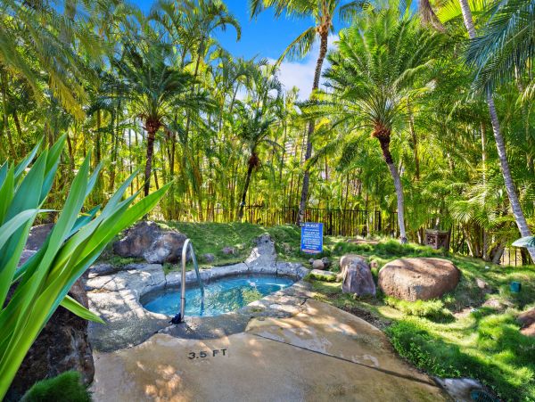 Cozy 2 Bedroom Maui Unit