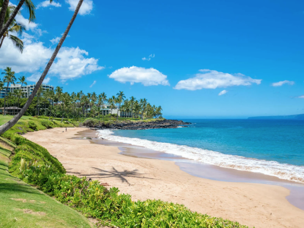 Luxury Wailea Condo with Ocean Views