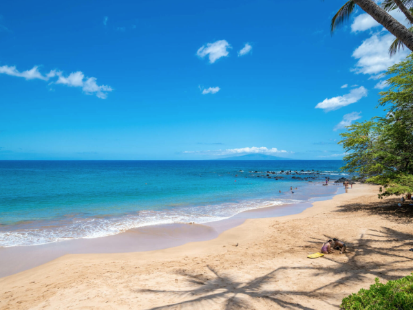 Luxury Wailea Condo with Ocean Views