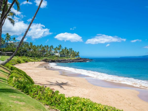 Wailea Home 1055581