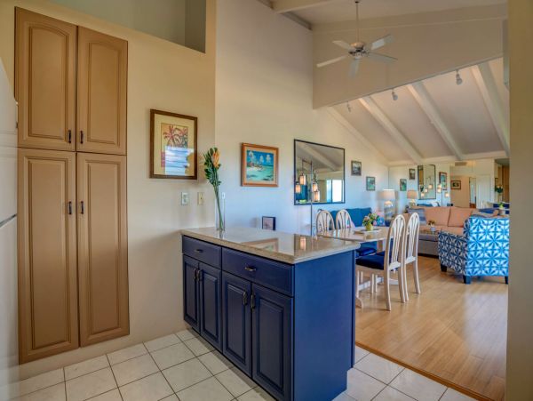Wailea Home 1055581