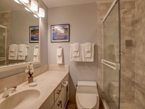Wailea Home 1055581
