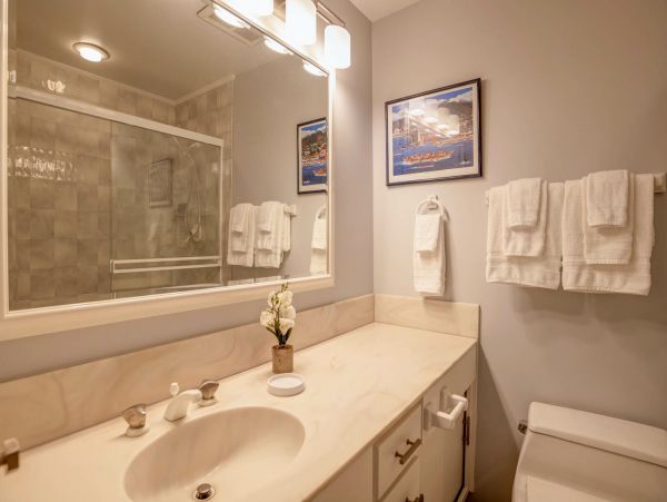 Wailea Home 1055581