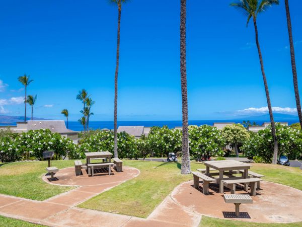Wailea Home 1055581