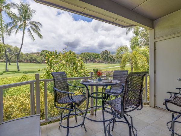 Wailea Home 1055582
