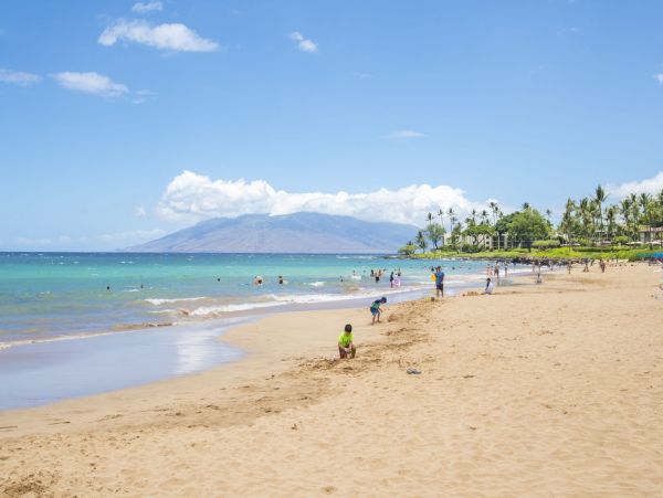Wailea Home 1055582
