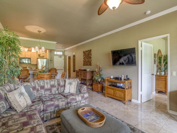 Wailea Home 1055582