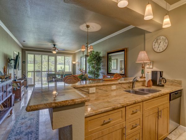 Wailea Home 1055582