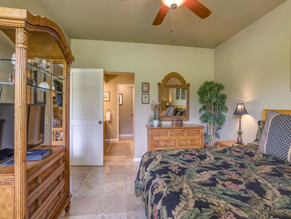 Wailea Home 1055582