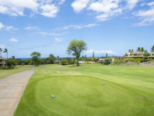 Wailea Home 1055582