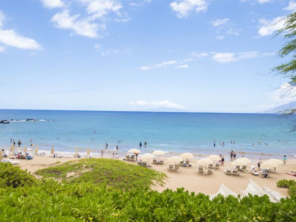 Wailea Home 1055582