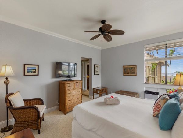 Wailea Home 1055583