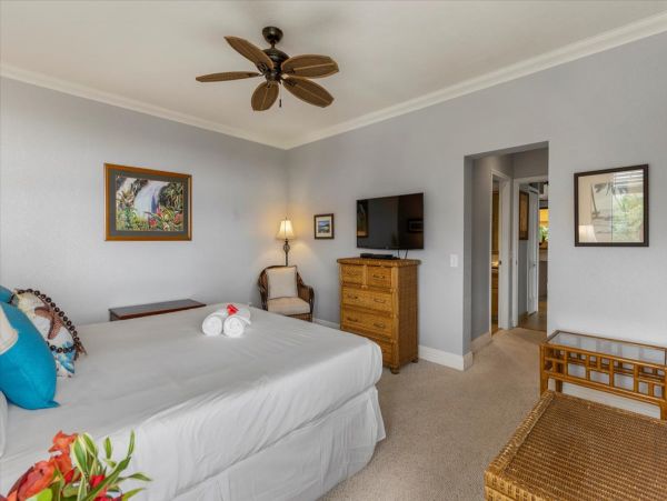 Wailea Home 1055583