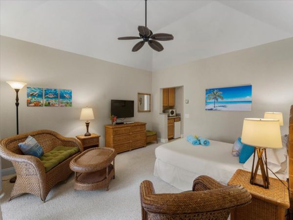 Wailea Home 1055583