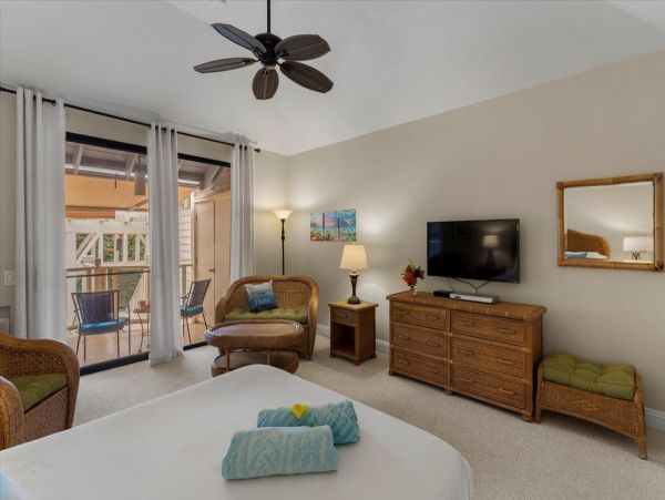 Wailea Home 1055583