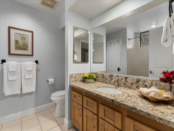Wailea Home 1055583