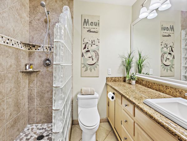 Wailea Home 1055586