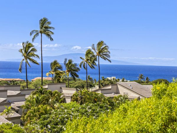 Wailea Home 1055586